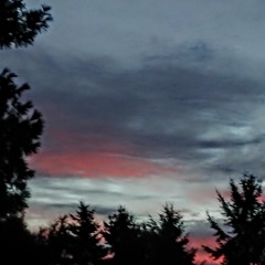 The WordS HoLE Damp 2TWO