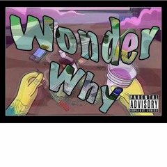 Wonder Why ft Roque(prod. Birdie Bands)