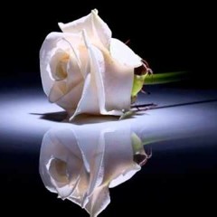 لم نعتقد بعدكم إلا الوفاء لكم .. رأيا ولم نتقلد غيره دينا !