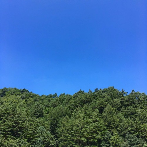 Empty Island