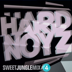 DJ Hardnoyz - Oldskool Jungle - Pt4