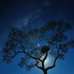 Sky At Night