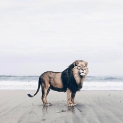 Muddy Waters (LP cover)