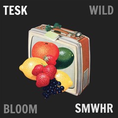 TESK ~ SMWHR