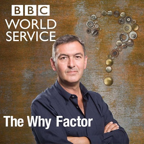 The Why Factor: Stammering
