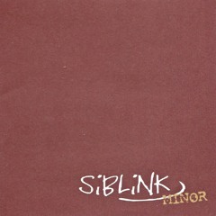 01 Sally Siblink Minor