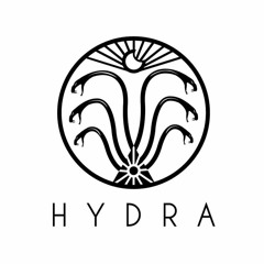 [RC battle] Diz 2T - Dương Tiến Thành a.k.a Hydra