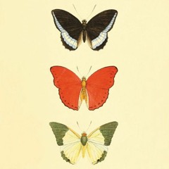 Struttura uno - Eclipse