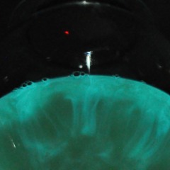 We Are Not Alone - wave 6