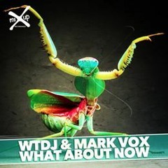 WTDJ & Mark Vox - What About Now (Original Mix) Out April 17 | Mixup Recordings
