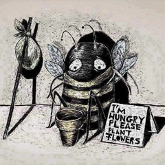 mco - an den tellern