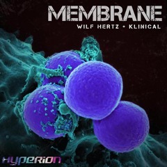 (HYPA023FREE)Wilf Hertz - Membrane (Klinical Remix)