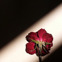 سميرة سعيد ــ يقولون عنى كثيراً