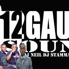 12GAUGE SOUND MIX 2017