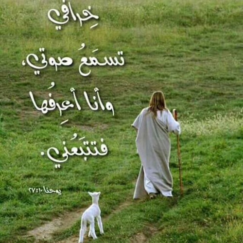 الجهاد في الطريق الكرب، ما هو الصوم الحقيقي؟! .. الجزء الثالث