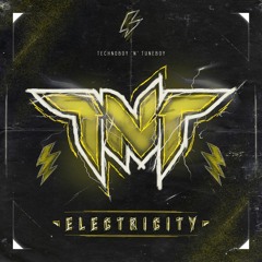 TNT aka Technoboy N Tuneboy - Electricity