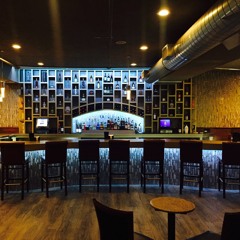 Live At The Jake // Happy 40th Mike B!!!!! (2 - 25 - 17)