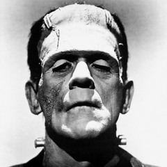 Frankenstein oder Der moderne Prometheus — I. Der Kopf