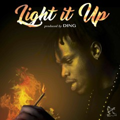 Light It Up produced by D I N G