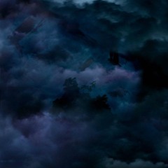 TEHVNV - FORT WOE /W XAVIER WULF