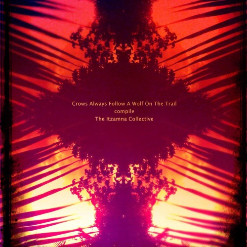 {Vol 1} Crows Always Follow A Wolf On The Trail compile The Itzamna Collective