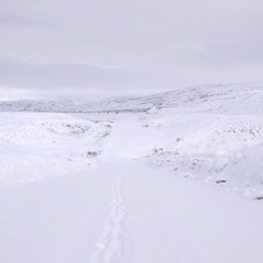 Le Silence sur un fil