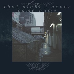 that night i never came home