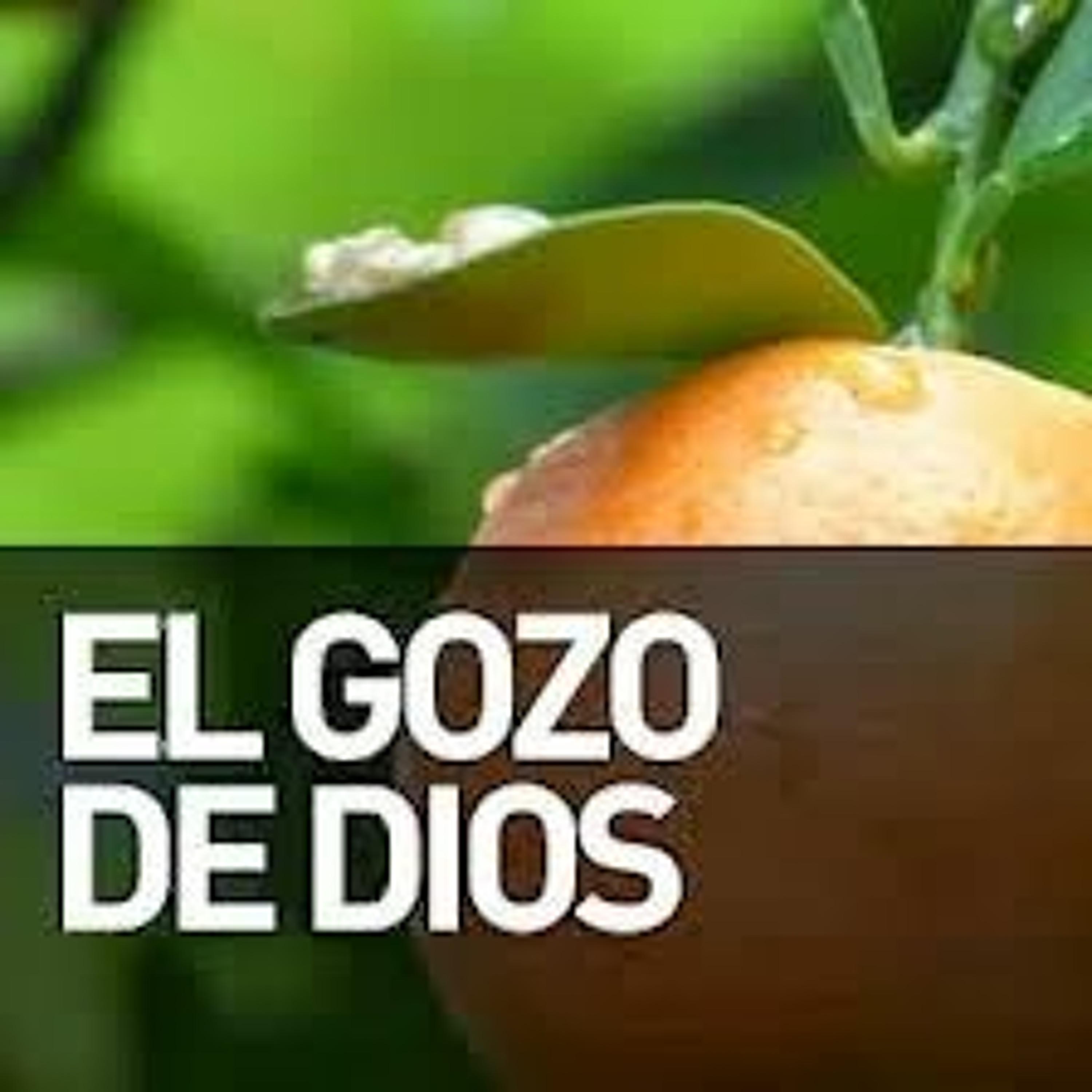 Manto De Alegría 26 02 2017 episode artwork