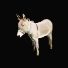 lemme eat yo ass ( look at info ty for 100 & the support )