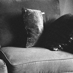 i wet all the floors of your ego, damn