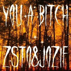 zsto x souljaelf - YOU A BITCH ( prod. ZSTO )