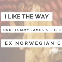 I Like The Way (Tommy James cover)
