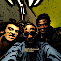 (R)Evolution Ft BLACKCOUNT