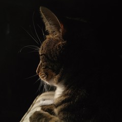 Pathways (Feat. Michaela Kramer)