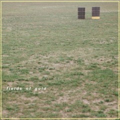 Fields Of Gold-Acoustic Cover by InSuburbia