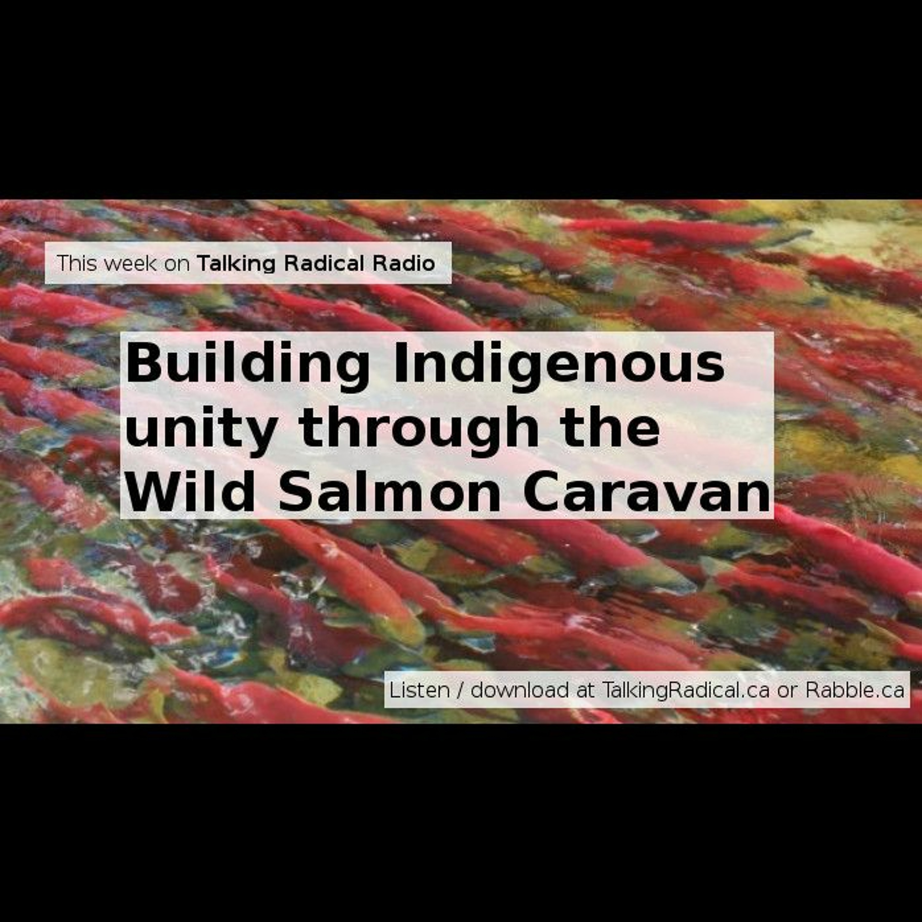 TRR ep. 119 (Jun. 10/2015): Building Indigenous unity through the Wild Salmon Caravan