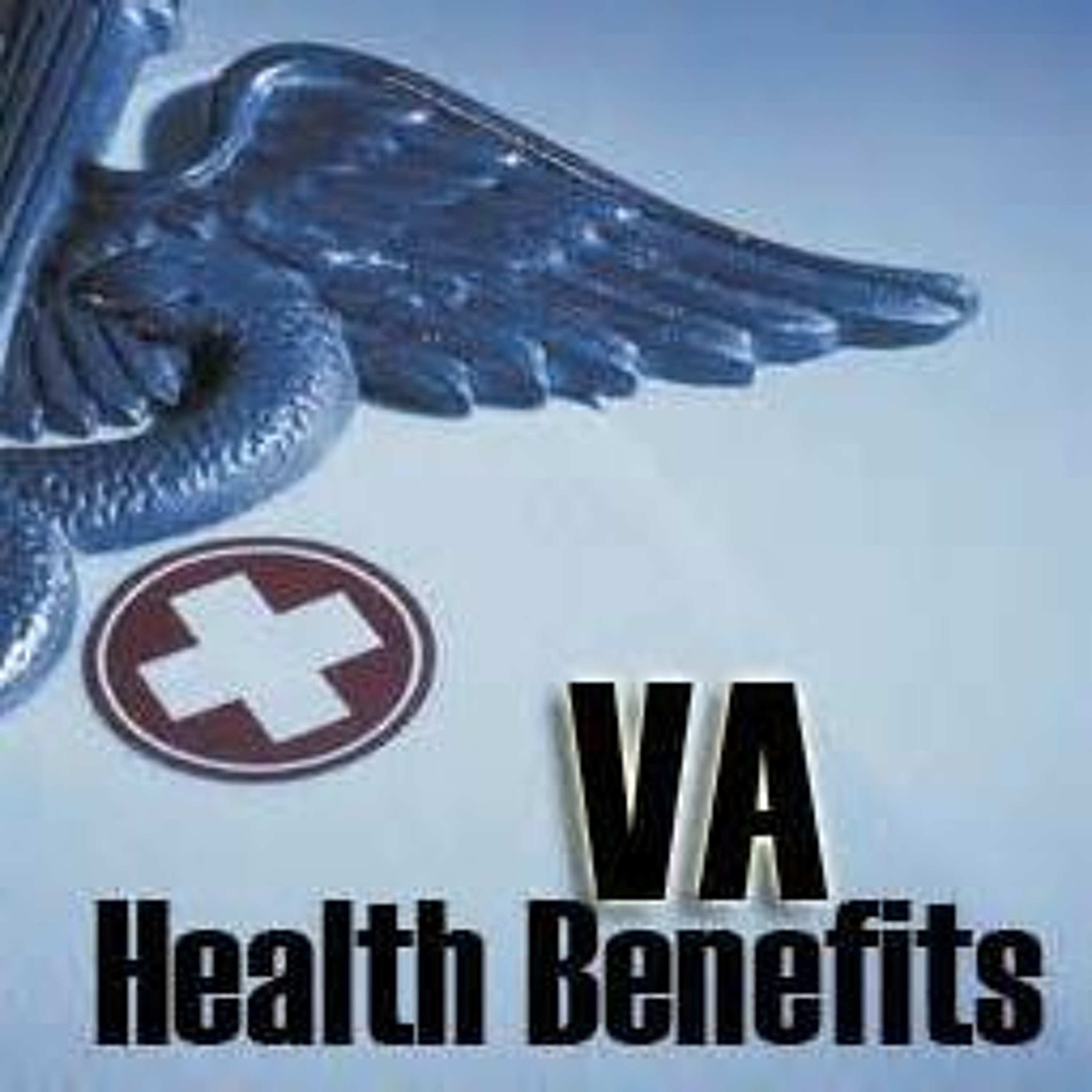 Disabled Veteran Talks: Veteran News
