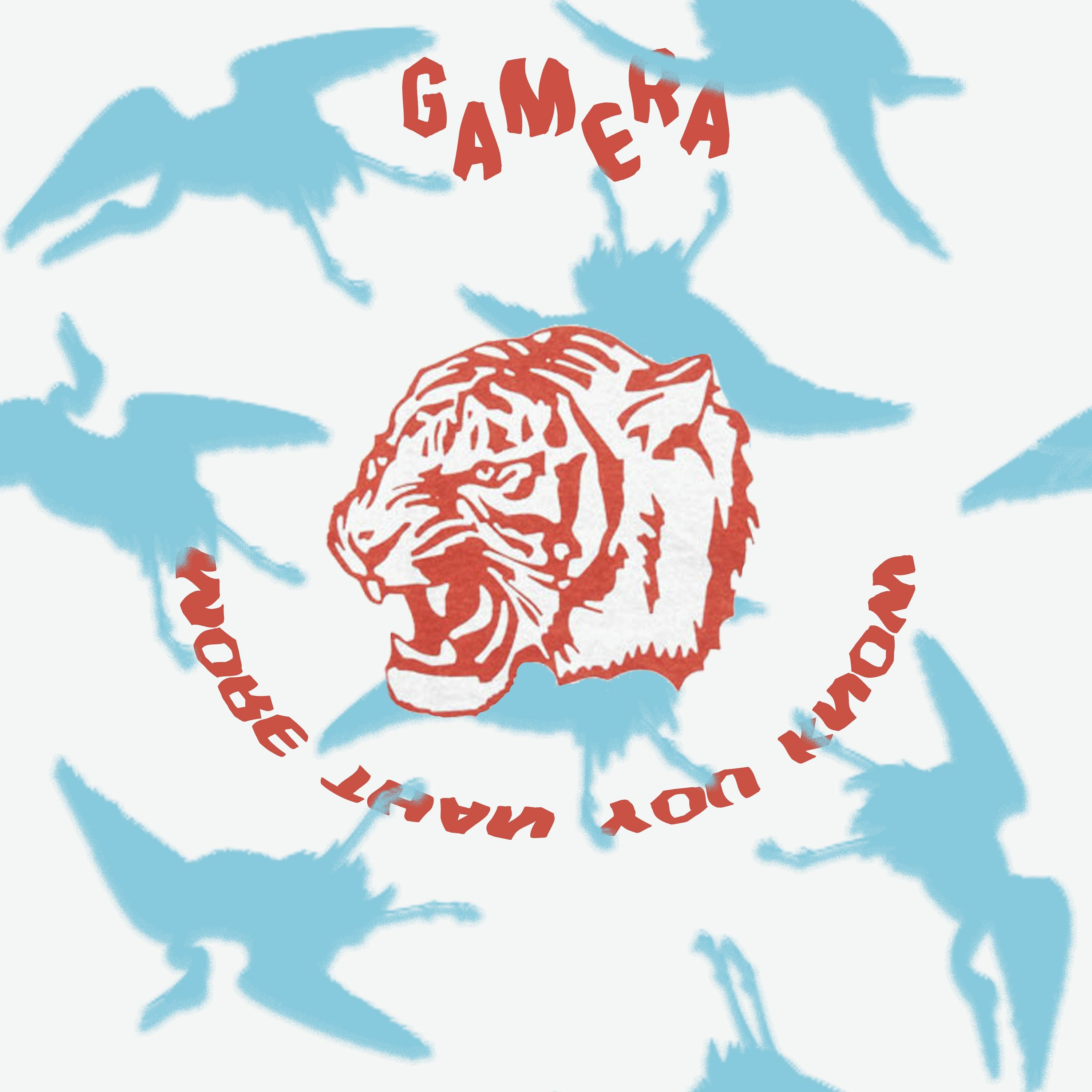 GAMERA aka GMRA