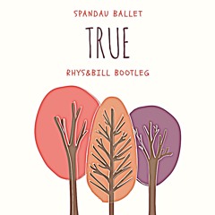 Spandau Ballet - True (Rhys&Bill Bootleg) *FREE DOWNLOAD*