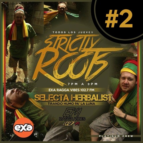 Strictly Roots #2