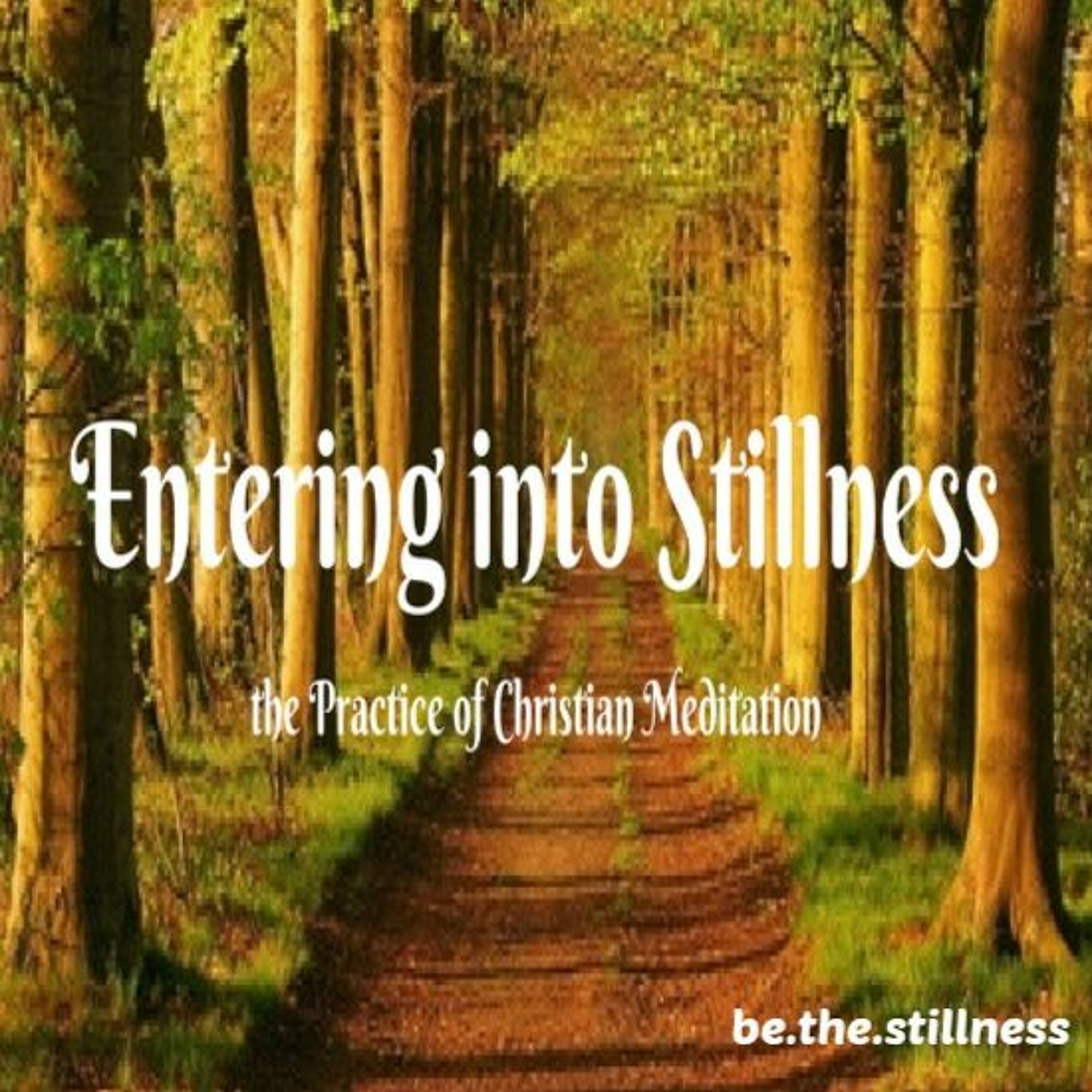 Entering into Stillness Session 1 episode artwork