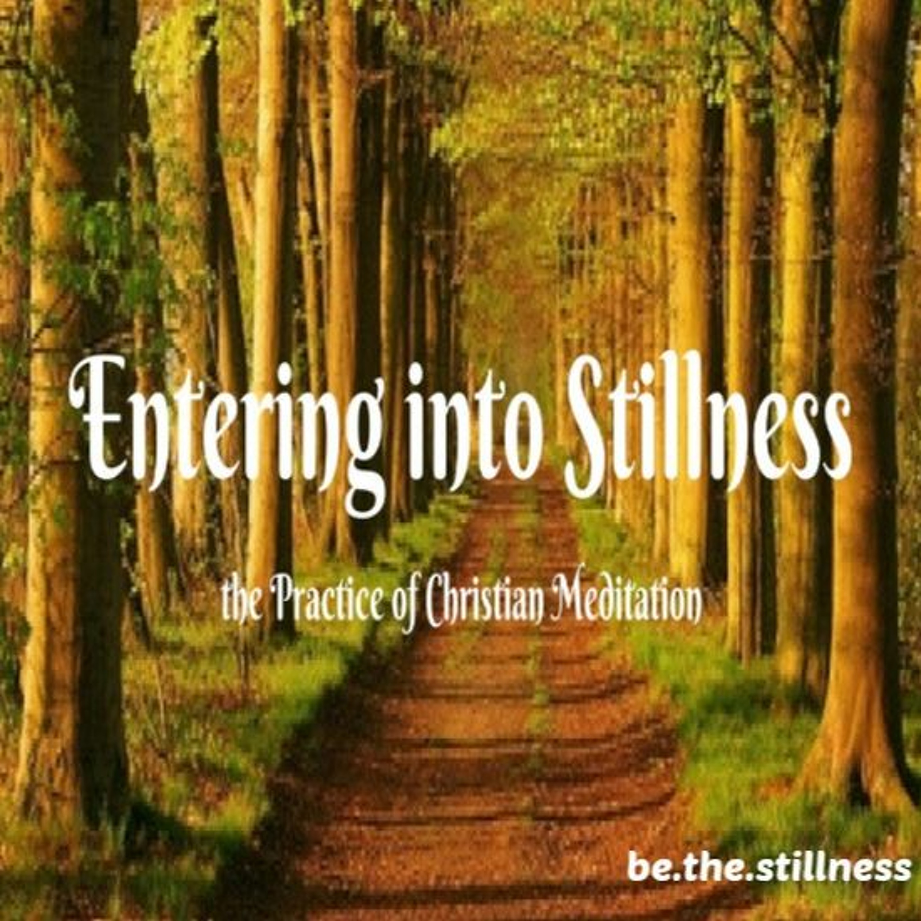 Entering into Stillness Session 3 episode artwork