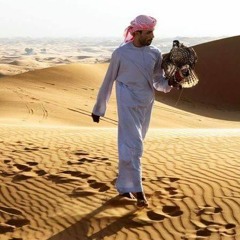 Daniel Petrariu - Lost In The Desert @ mIX oNe