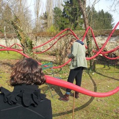 les bras de l'insurgé extraits