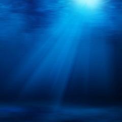 Sharkman - You Look Just Like Me ft. B.L. Fish [Prod. Quincyman]