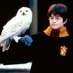 IMPOSSIBLE REMIX - Harry Potter -Hedwig's Theme-