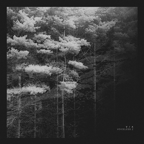 [AF005Z] V/A 'VOICELESS Z' (w/ HELENA HAUFF, CCO, B12, LOWFISH, ENDFEST) [2017]