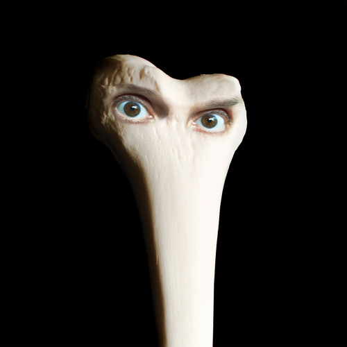 Juana Molina - "Cosoco"
