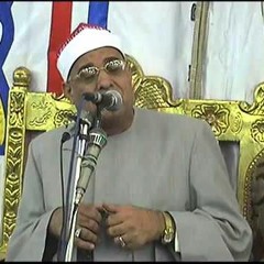 الشيخ محمد حامد السلكاوى