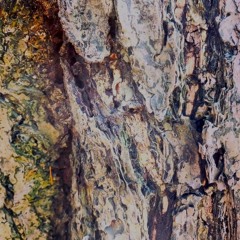 Ginkgo(feat. Zo3) - Inst - Bpm120